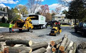 Seasonal Cleanup (Spring/Fall) in Pawnee, OK